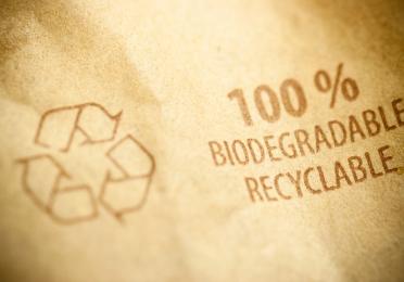 Lubricantes biodegradables
